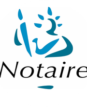 SCP Reslinger Guillet image 3