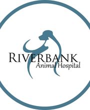 Riverbank Animal Hospital image 2