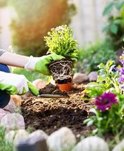 Facility- und Immobilienservice Welsink GmbH Bild 1