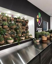 Carrément Fleurs - Fleuriste Thiers - Livraison de fleurs à domicile image 4