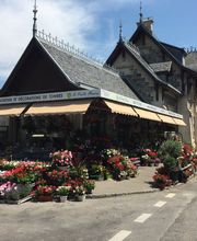 A. Pinto Fleurs Bild 9