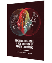 Heyder creative studio Bild 6