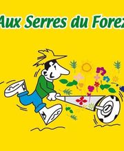 Les Serres Du Forez SARL image 2