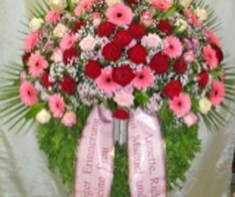 Blumen Jakob Bild 9