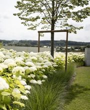 Popp Gartenbau AG Bild 11