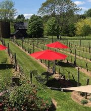 Pearmund Cellars image 4