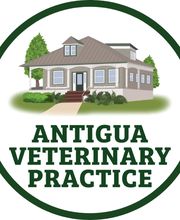 Antigua Veterinary Practice image 1