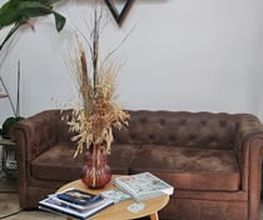 302433743-2-zlu1ur9jmp1788690045423.jpeg