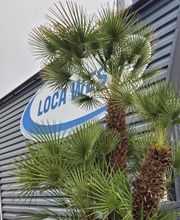 Loca West image 7