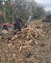 Bourgaud Michel image 1