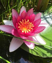 mit weniger stress leben Bild 5