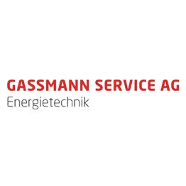 GASSMANN SERVICE AG logo
