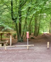 FriedWald Buxtehude Bild 10