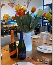 Hi Trendy Dumpling image 15