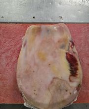 AROMAS DE IBERICO SL imagen 8