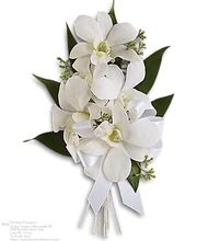 Preston Flowers image 7