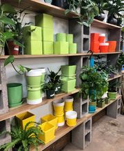 Dig It Gardens image 16