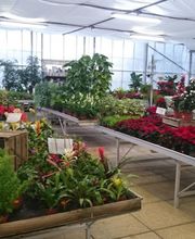 Jardinerie Champs Fleurs image 19