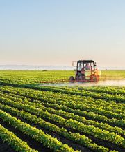 JOSE ANTONIO MOLINA imagen 2