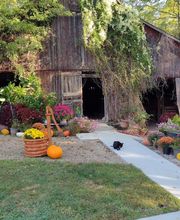 Paradise Park image 7