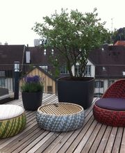 Blumen Diener Bild 9