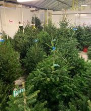 Bricomarché Roye image 5