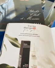 Swiss Merge Sagl Bild 1