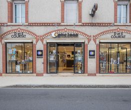 Optic 2000 image 7