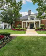 Alexander Court image 13