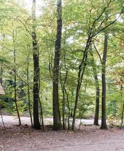 FriedWald Euskirchen Bild 5
