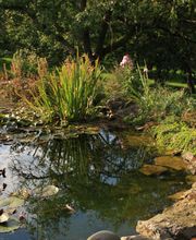 Grüne Landschaft GmbH Bild 4