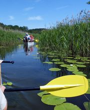 Kanu - Hecht Bild 10