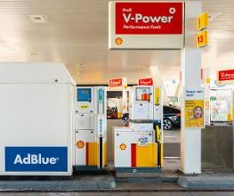 Shell Bild 6