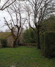 JB Jardinage et Toitures16 image 3