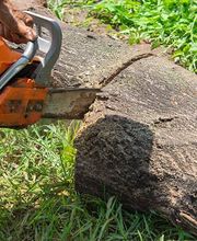 Baumpflege Eifler Bild 4