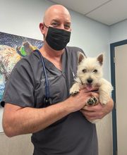 Independence Veterinary Clinic image 9