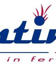 Engrais Plantin image 4