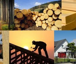 HEES HOLZBAU Bild 1
