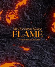 Mr Dee Swiss House Bild 12