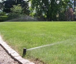 AB JARDIN SARL Bild 6
