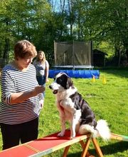 Sitz Platz Komm Hundeschule Marion Hans Bild 9
