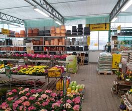 Pirig Gartencenter Bild 4