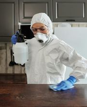 Schädlingsbekämpfung Mittelbaden Bild 5