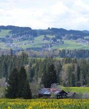Ferienhof Hiemer Bild 1