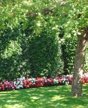 MARTIN ET MARTIN SA Bild 7