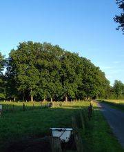 Hof Holtkamp Bild 2