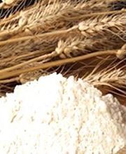 MINOTERIE LAGARDE SA image 1