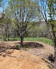 JB Contracting & Excavating INC image 19