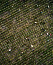 MAISON ALBERT SOUNIT image 4