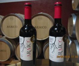 Bodegas araico imagen 2